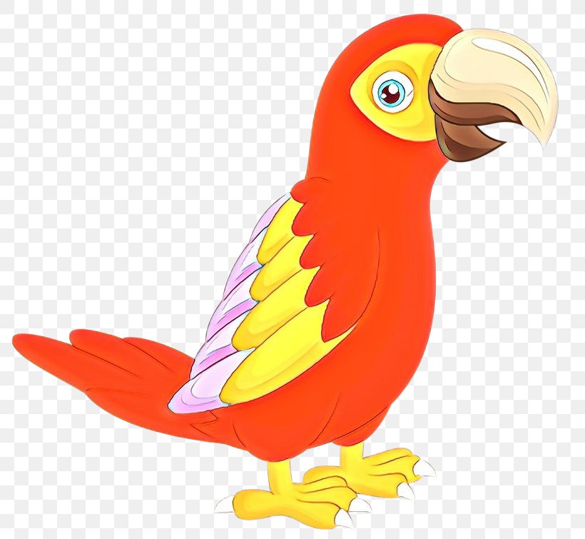 Macaw Beak Feather Cartoon Animal, PNG, 800x755px, Macaw, Animal, Beak, Bird, Cartoon Download Free
