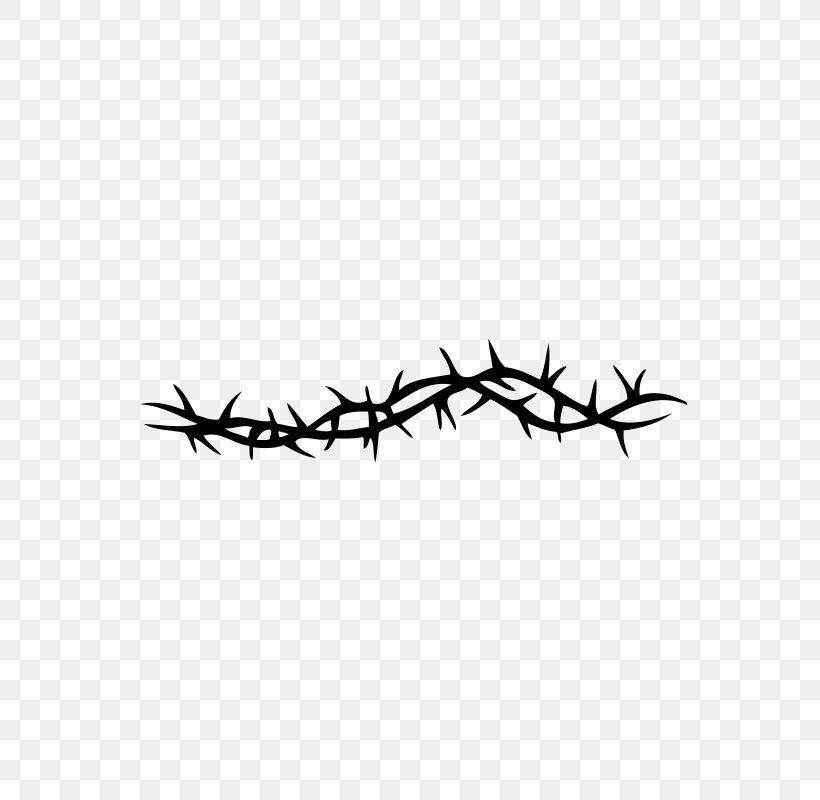 Thorns, Spines, And Prickles Rose Smoothie Line Barbed Wire, PNG, 565x800px, Thorns Spines And Prickles, Alola, Barbed Wire, Branch, Chicken As Food Download Free