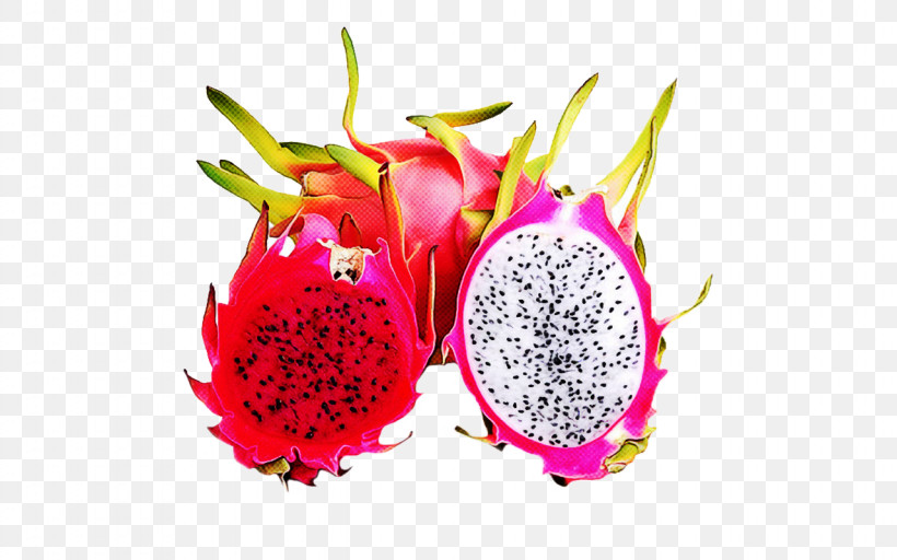 Cactus, PNG, 1280x800px, Pitaya, Accessory Fruit, Cactus, Costa Rican Pitahaya, Dragonfruit Download Free