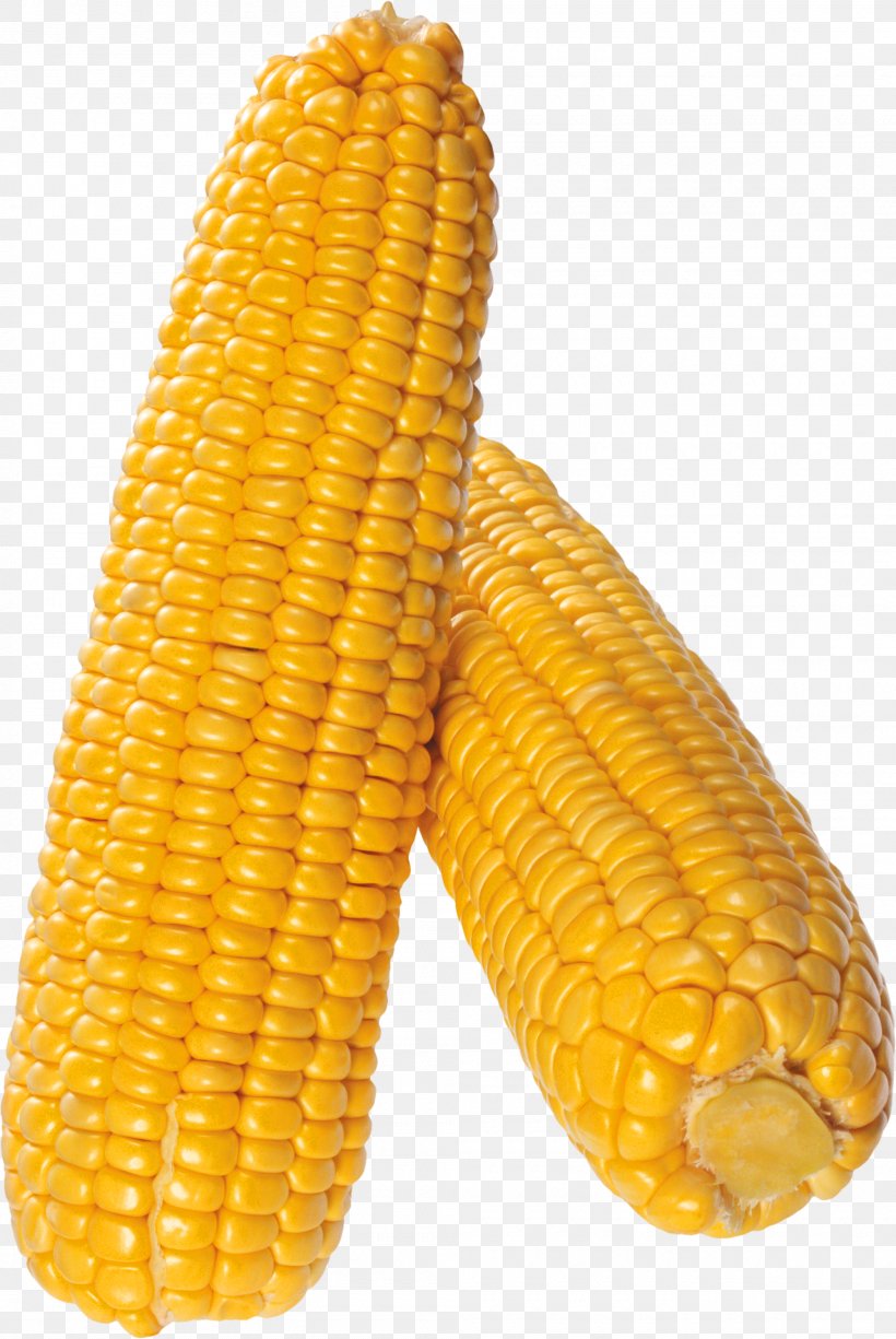 Corn On The Cob Sweet Corn Corn Kernel Field Corn Corncob, PNG, 2000x2990px, Corn On The Cob, Baby Corn, Cereal, Corn, Corn Kernel Download Free