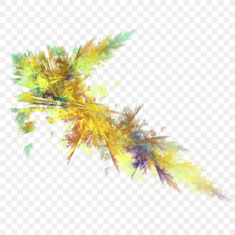 Feather, PNG, 894x894px, Feather, Tree Download Free
