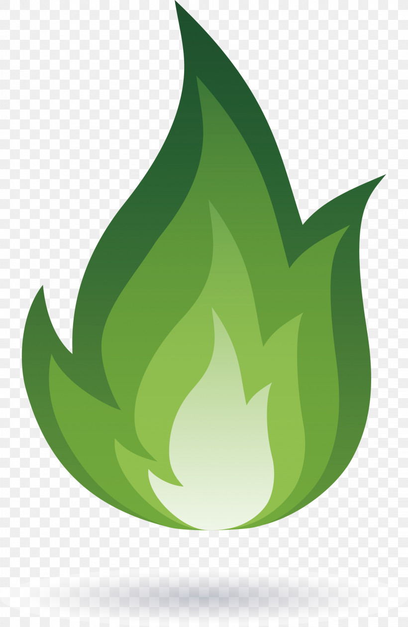 Flame Fire, PNG, 1952x3000px, Flame, Biology, Fire, Fruit, Green Download Free