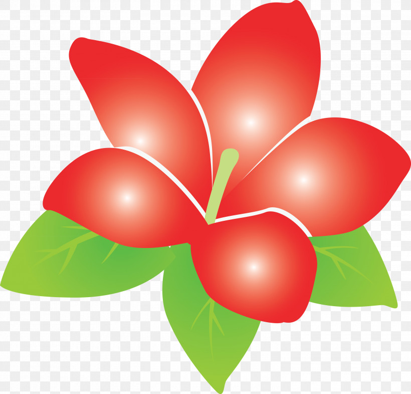 Jasmine Jasmine Flower, PNG, 3000x2875px, Jasmine, Biology, Flower, Fruit, Heart Download Free