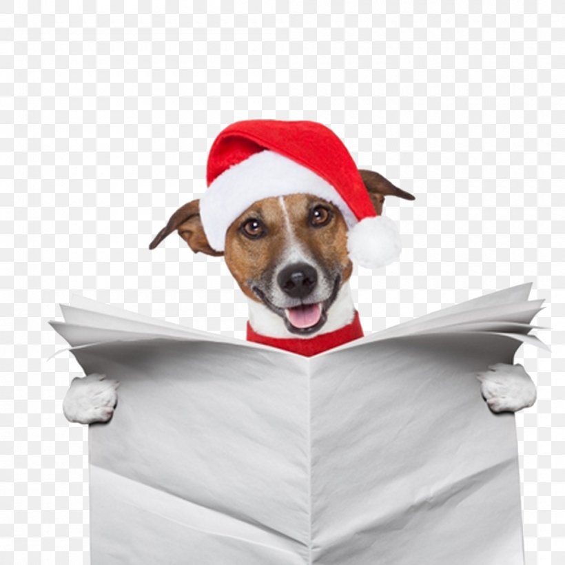 Pug Santa Claus Christmas Gift Christmas Gift, PNG, 1000x1000px, Dog, Carnivoran, Christmas, Christmas And Holiday Season, Christmas Gift Download Free