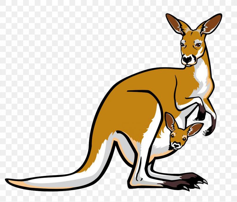 Red Kangaroo Pouch Illustration, PNG, 1000x855px, Red Kangaroo, Dog Like Mammal, Fauna, Kangaroo, Macropodidae Download Free