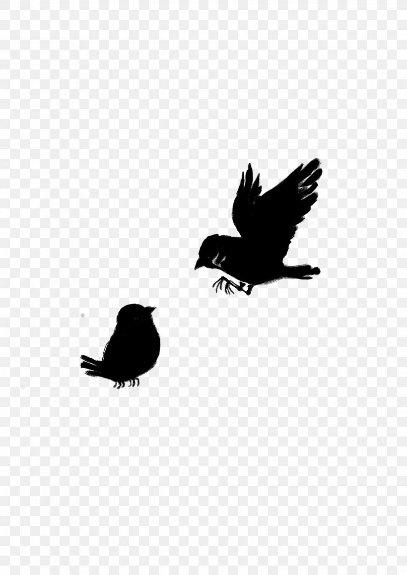 American Crow Common Raven Fauna Silhouette, PNG, 2480x3508px, American Crow, Accipitridae, Accipitriformes, Bald Eagle, Beak Download Free