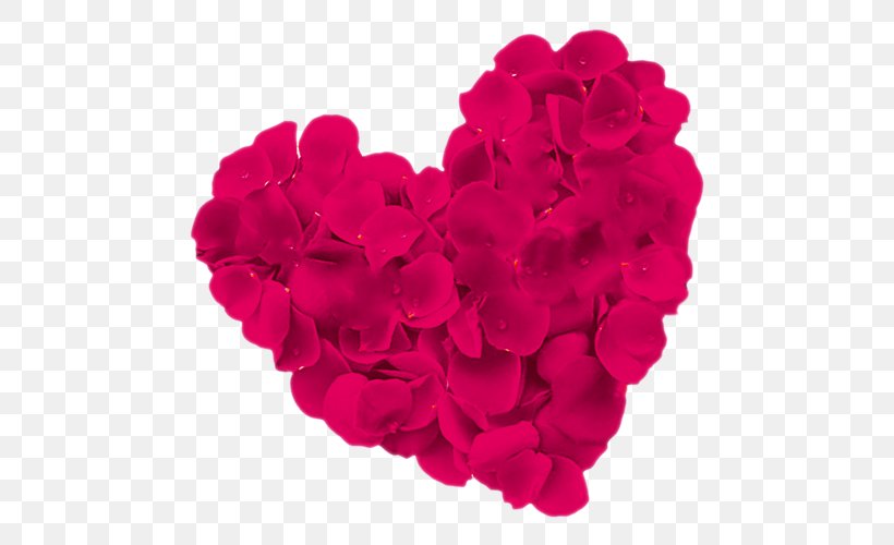 Beach Rose Heart Flower, PNG, 500x500px, Beach Rose, Cut Flowers, Flower, Flowering Plant, Garden Roses Download Free