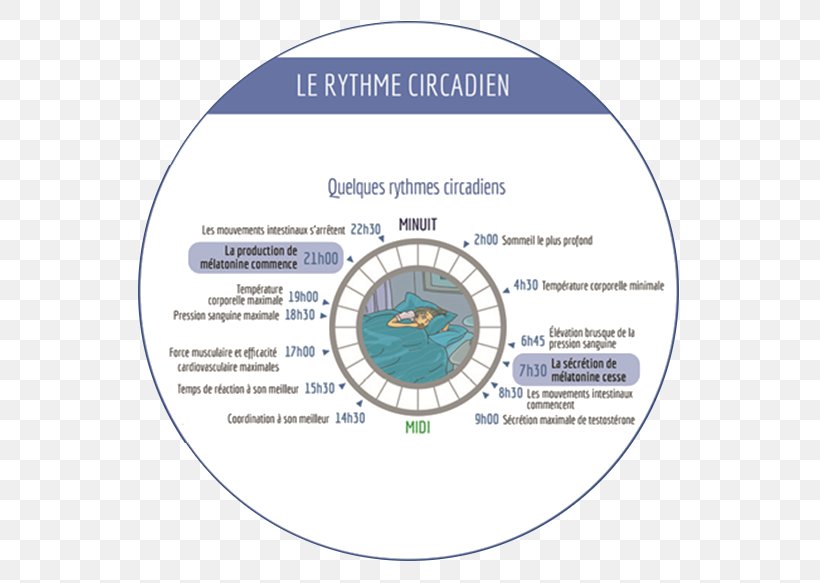 Circadian Rhythm Biologik Ritmlar Melatonin Hormone, PNG, 779x583px, Circadian Rhythm, Biology, Brand, Cortisol, Eating Download Free