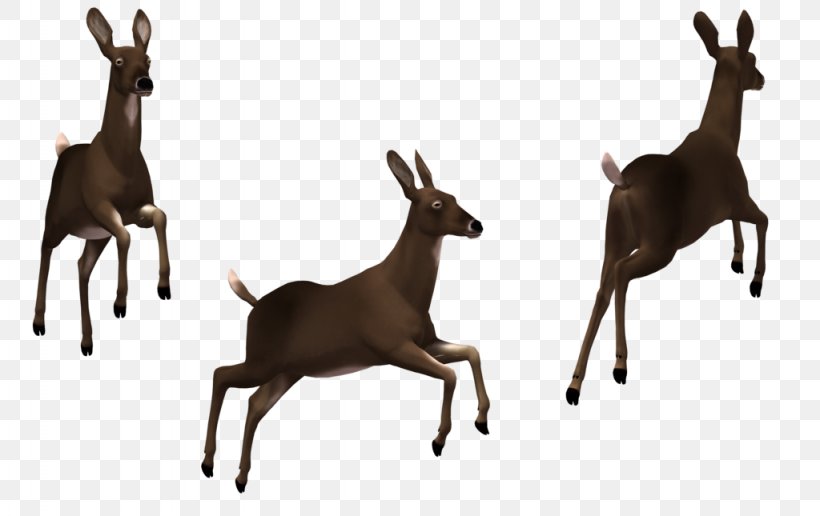 Deer Clip Art, PNG, 1024x645px, Deer, Adobe Freehand, Antelope, Can Stock Photo, Donkey Download Free