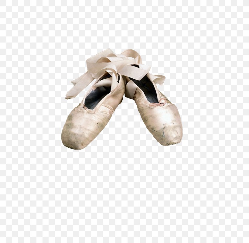 Slipper Pointe Shoe Ballet Shoe, PNG, 600x800px, Slipper, Ballet, Ballet Dancer, Ballet Flat, Ballet Shoe Download Free