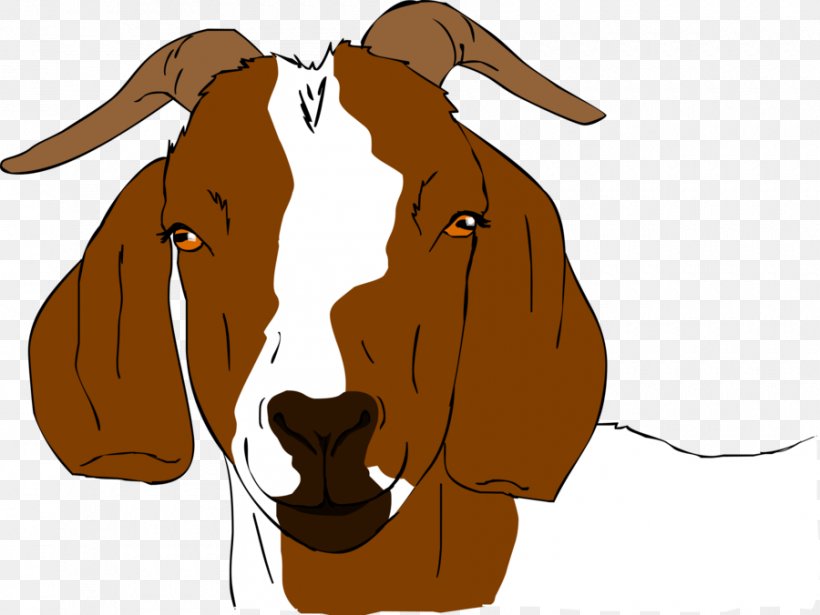 Boer Goat Anglo-Nubian Goat Drawing Clip Art, PNG, 900x676px, Boer Goat, Anglonubian Goat, Art, Carnivoran, Cattle Like Mammal Download Free