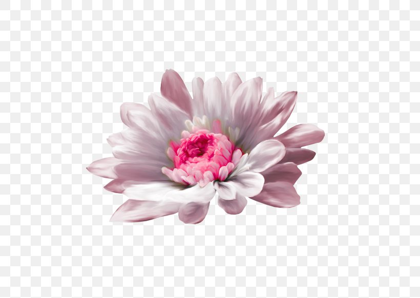 Desktop Wallpaper Flower Image Picture Frames Photograph, PNG, 600x582px, Flower, Chrysanths, Cut Flowers, Dahlia, Daisy Family Download Free