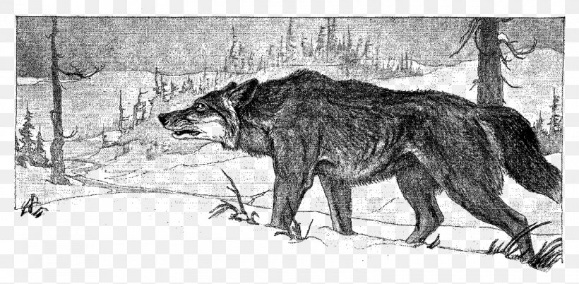 Gray Wolf Wolf Hunting Clip Art, PNG, 1600x785px, Gray Wolf, Artwork, Black And White, Canidae, Carnivoran Download Free