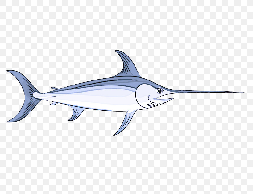 Shark, PNG, 800x629px, Bony Fishes, Cetaceans, Dolphin, Fish, Marlin Download Free