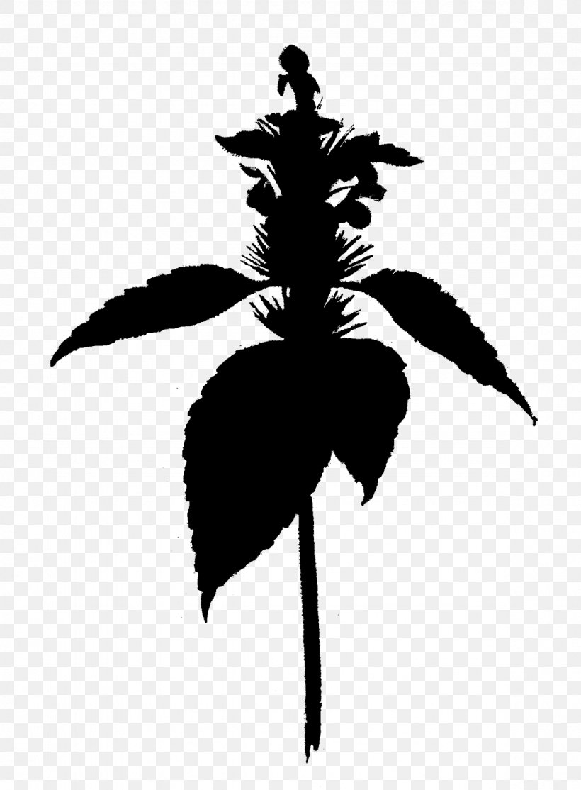 Flowering Plant Silhouette Leaf Plants, PNG, 1177x1600px, Flower, Blackandwhite, Flowering Plant, Leaf, Palm Tree Download Free