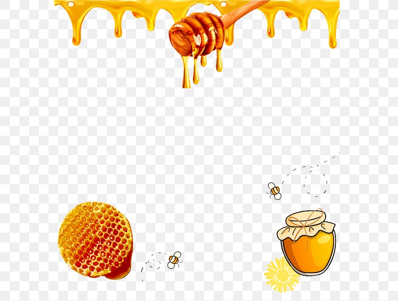 Honey Bee Honeycomb, PNG, 597x621px, Bee, Beehive, Black Locust, Cuisine, Food Download Free