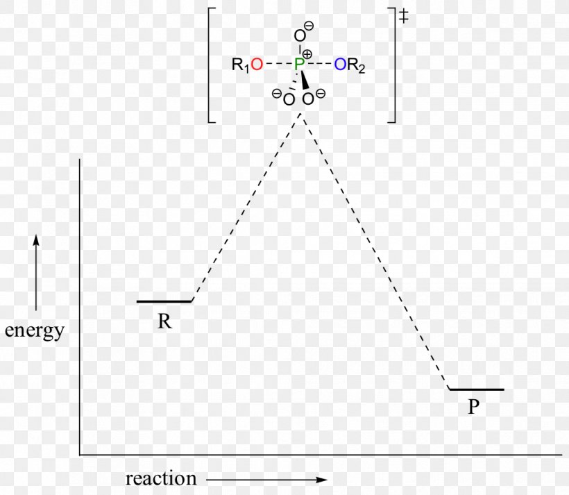 Line Angle Point, PNG, 1016x884px, Point, Area, Diagram, Parallel, Plot Download Free