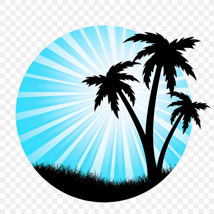 Arecaceae Silhouette Tree Drawing, PNG, 1417x1417px, Arecaceae, Arecales, Drawing, Evergreen, Palm Tree Download Free
