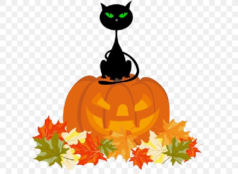 Clip Art Halloween Vector Graphics Illustration Jack-o'-lantern, PNG, 600x600px, Halloween, Calabaza, Carnivoran, Cat, Cat Like Mammal Download Free