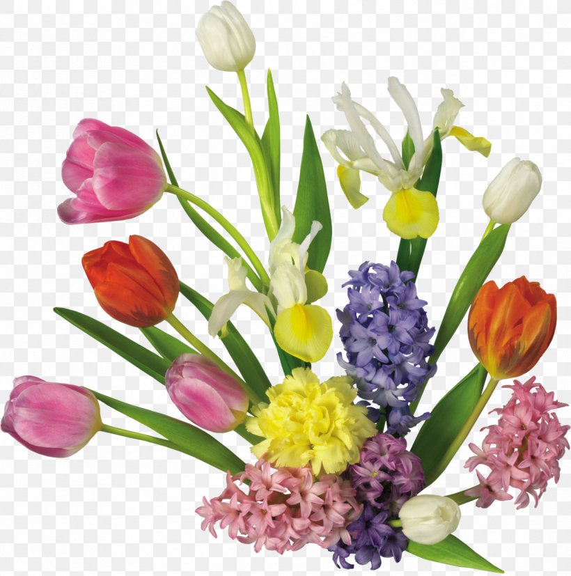 Tulip Cut Flowers Plant 0, PNG, 1269x1280px, 2017, Tulip, Color, Crocus, Cut Flowers Download Free