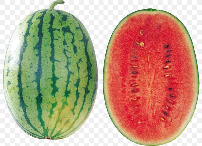 Watermelon Seed Oil Clip Art, PNG, 800x592px, Watermelon Seed Oil, Citrullus, Citrullus Lanatus Var Lanatus, Cucumber Gourd And Melon Family, Food Download Free