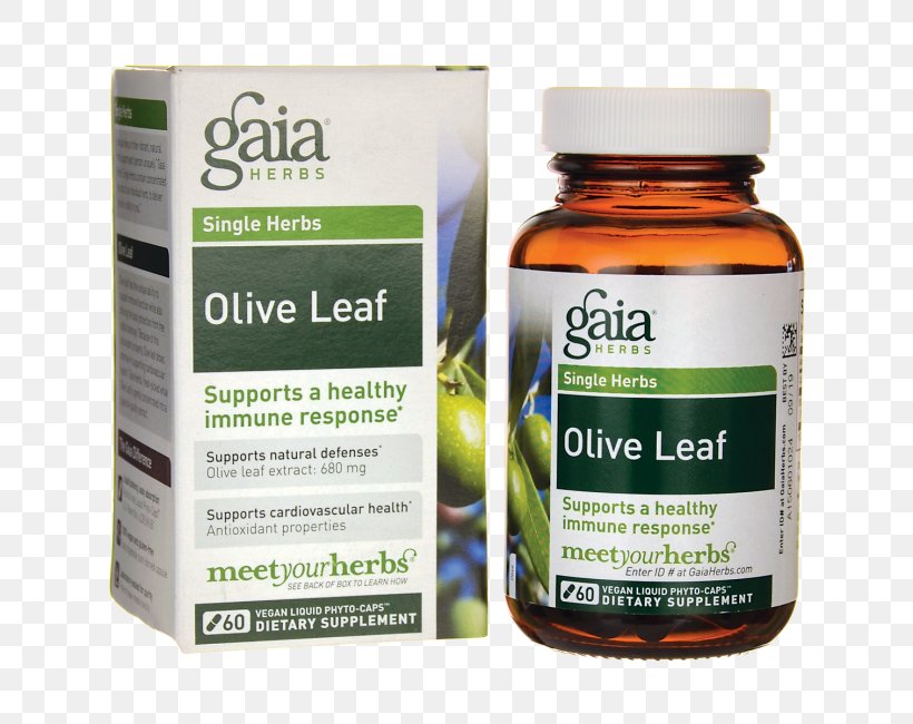 Dietary Supplement Vegetarian Cuisine Olive Leaf Herb, PNG, 650x650px, Dietary Supplement, Basil, Drink, Extract, Glutenfree Diet Download Free