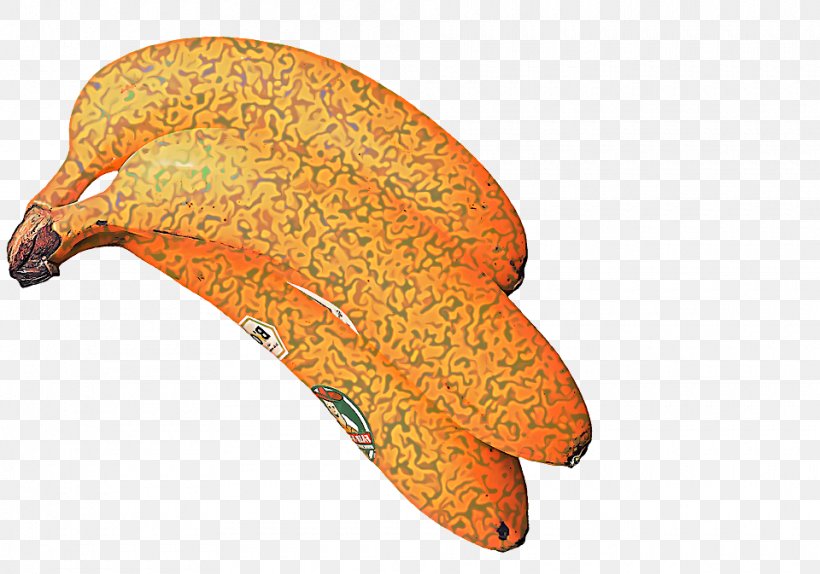 Fish Cartoon, PNG, 960x673px, Fish, Fruit, Leaf, Orange, Plant Download Free