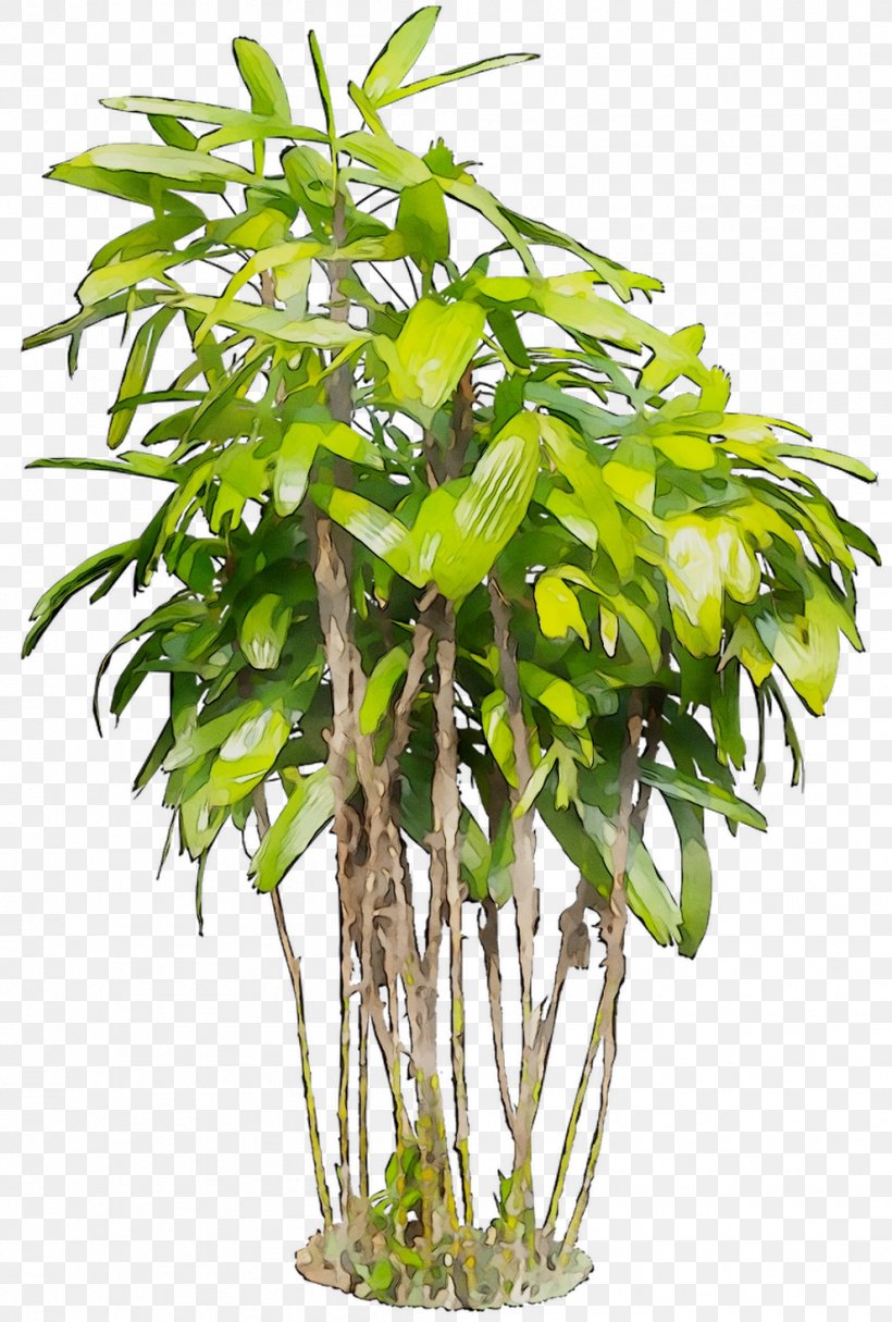Houseplant Flowerpot Tree Plant Stem Plants, PNG, 990x1468px, Houseplant, Aquarium Decor, Bamboo, Flower, Flowering Plant Download Free