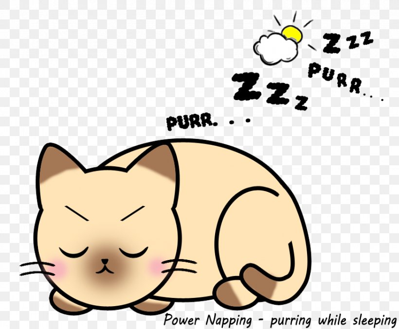 Kitten Whiskers Cartoon Power Nap, PNG, 872x720px, Watercolor, Cartoon, Flower, Frame, Heart Download Free