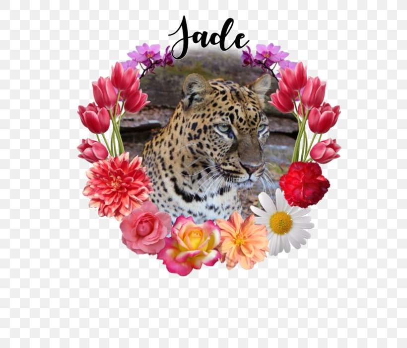 Leopard Cat Flowerz Whiskers Lexa Hill, PNG, 583x700px, Leopard, Big Cat, Big Cats, Carnivoran, Cat Download Free