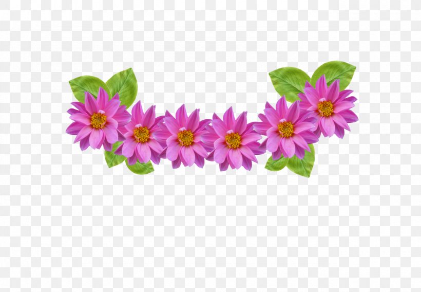 Flower Pink Petal Plant Purple, PNG, 1280x887px, Flower, Cut Flowers, Flowering Plant, Petal, Pink Download Free