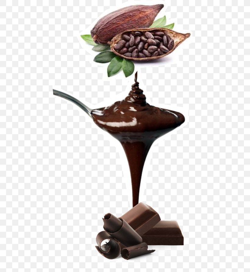 Hot Chocolate Cocoa Bean Criollo Cocoa Solids Raw Chocolate, PNG, 477x892px, Hot Chocolate, Bean, Cacao Tree, Chocolate, Chocolate Liquor Download Free