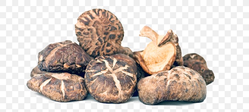 Shiitake Edible Mushroom Powder Fungus, PNG, 700x369px, Shiitake, Appetite, Chaga Mushroom, Chinese Cuisine, Cocoa Bean Download Free