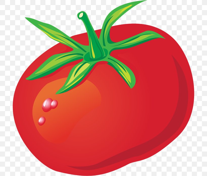 Tomato Euclidean Vector Clip Art, PNG, 720x697px, Tomato, Food, Fruit, Ketchup, Local Food Download Free