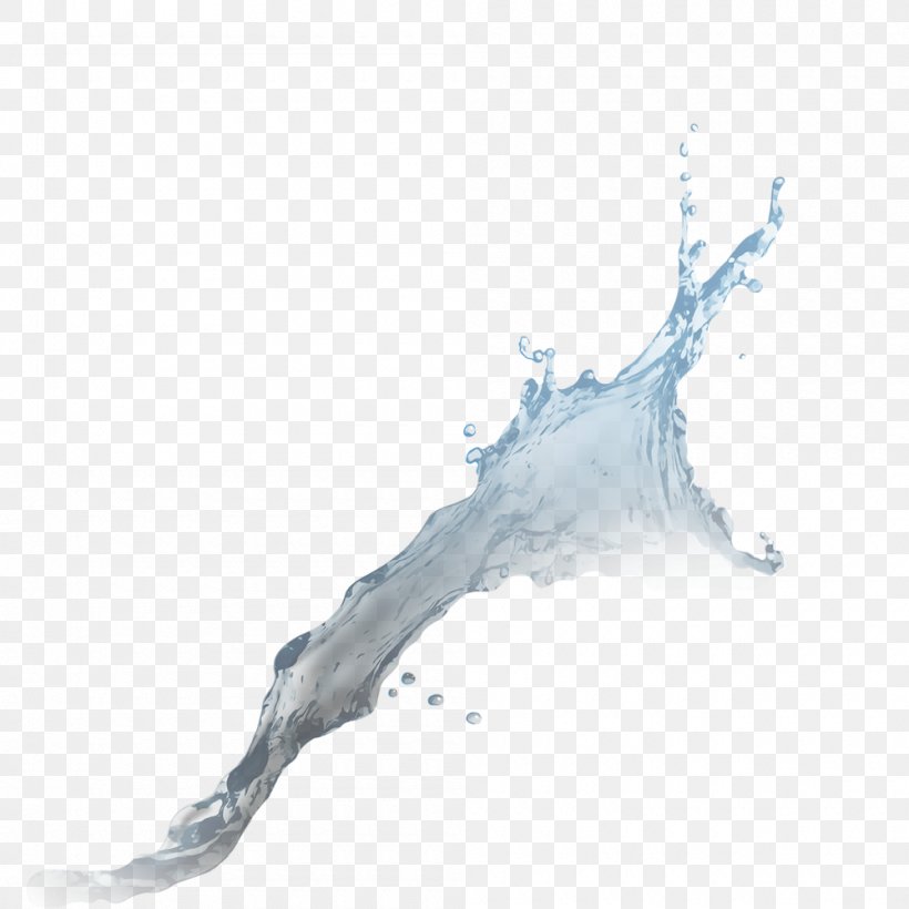 Water Services Drinking Water Water Supply Network, PNG, 1000x1000px, Water, Christmas Tree, Drinking, Drinking Water, Drop Download Free