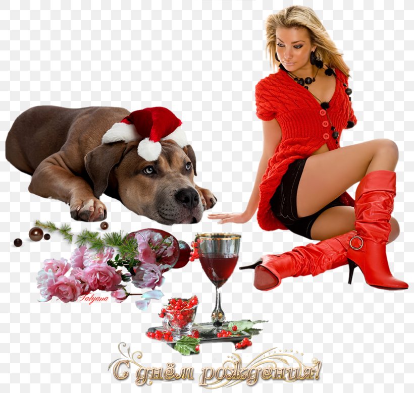 Woman PhotoScape, PNG, 800x779px, Woman, Blog, Christmas, Christmas Ornament, Dog Download Free