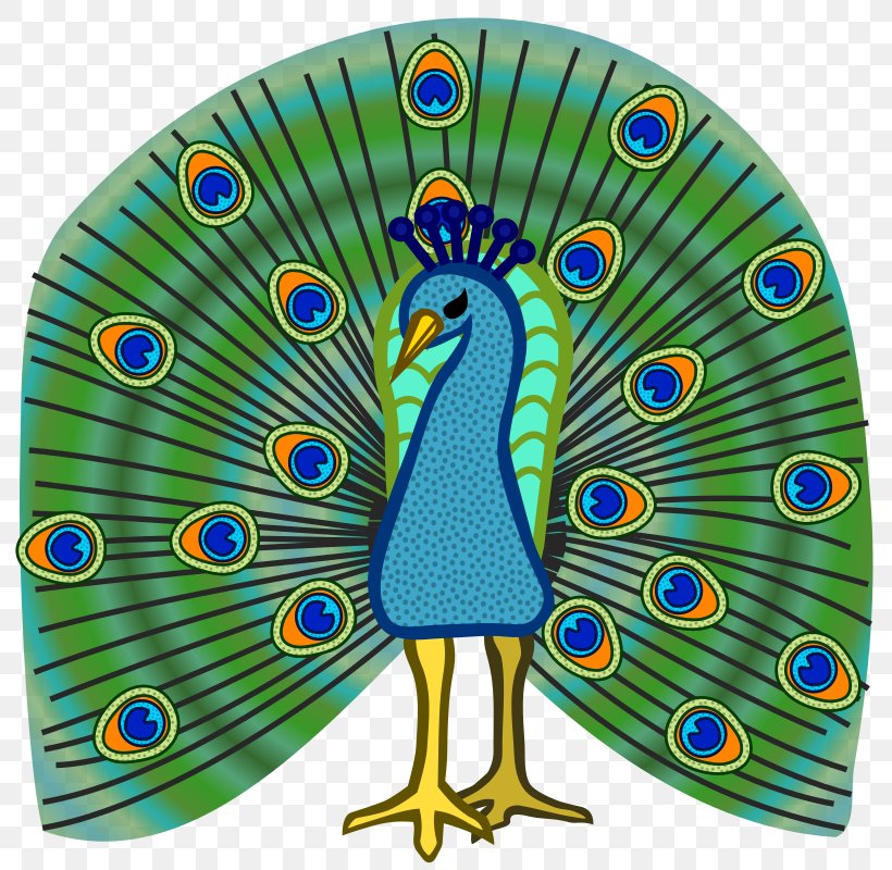 Bird Peafowl Clip Art, PNG, 800x800px, Bird, Asiatic Peafowl, Beak, Color, Coloring Book Download Free