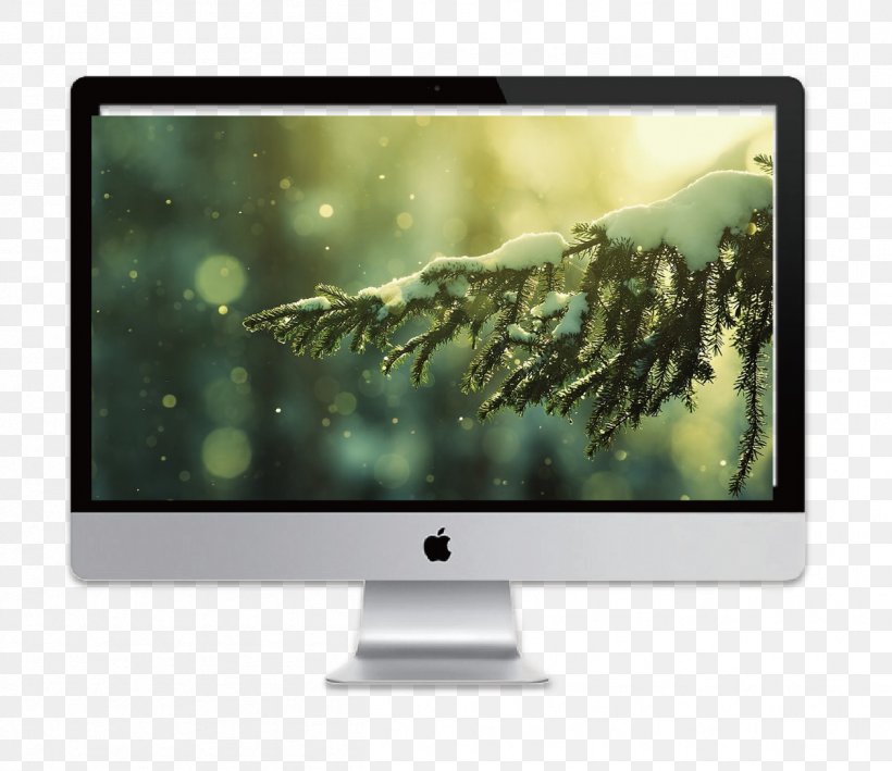High-definition Television Pine High-definition Video Tree Wallpaper, PNG, 1256x1086px, Highdefinition Television, Aspect Ratio, Brand, Computer Monitor, Display Device Download Free