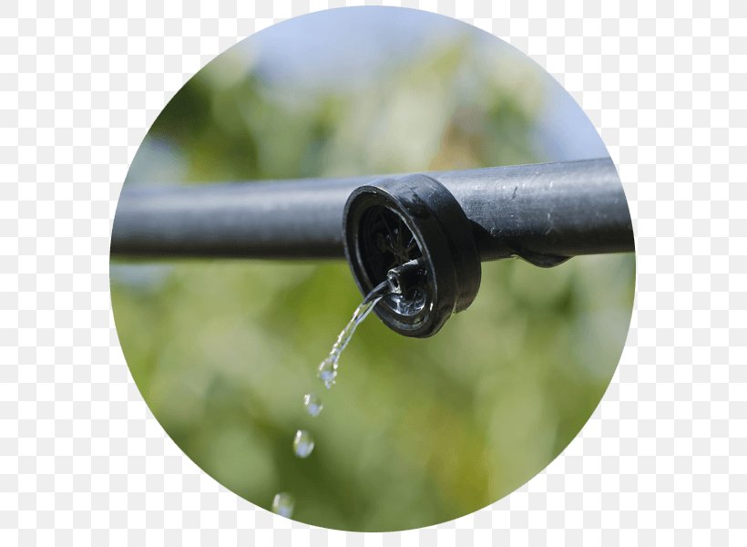 Water Footprint טפטפת Drip Irrigation, PNG, 600x600px, Water, Agriculture, Drip Irrigation, Drop, Engineering Download Free