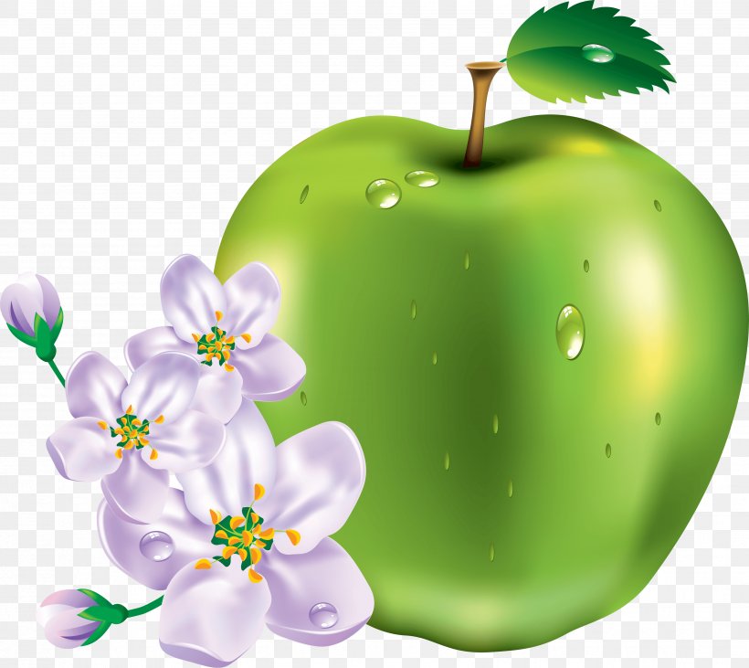 Apple Clip Art, PNG, 3498x3120px, Apple, Decoupage, Food, Fruit, Granny Smith Download Free