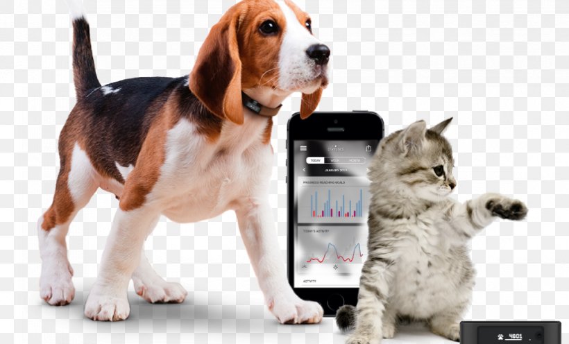 Cat Dog GPS Navigation Systems GPS Tracking Unit Tracking System, PNG, 825x500px, Cat, Activity Tracker, Beagle, Cat Like Mammal, Collar Download Free
