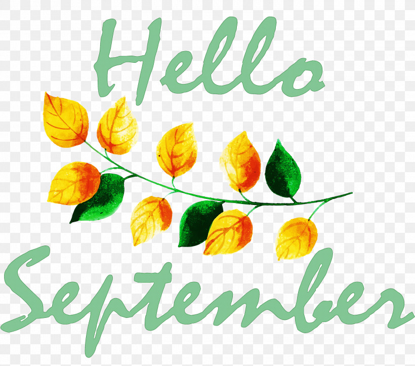 Hello September, PNG, 3000x2646px, Hello September, Cut Flowers, Floral Design, Flower, Petal Download Free