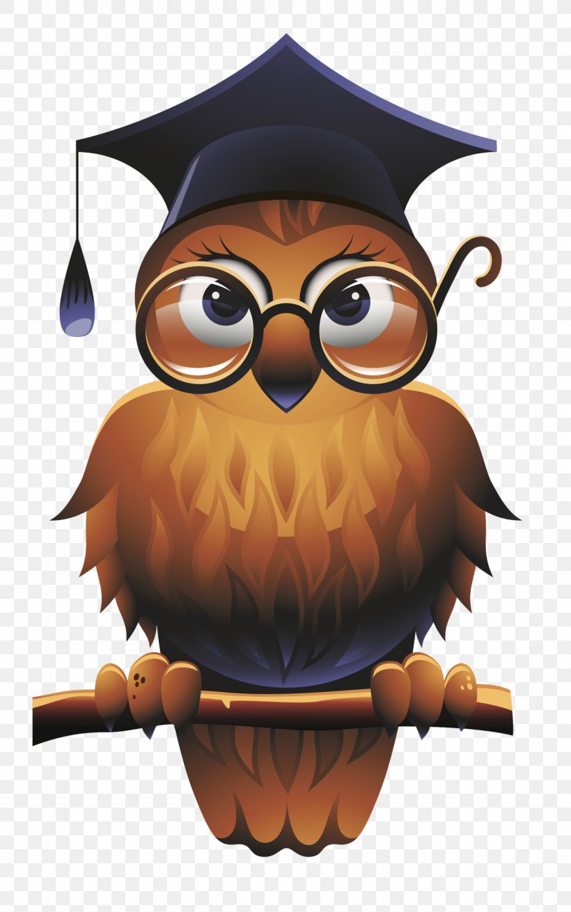 Owl Square Academic Cap School Teacher, PNG, 1281x2048px, Owl, Academic Degree, Beak, Bird, Bird Of Prey Download Free