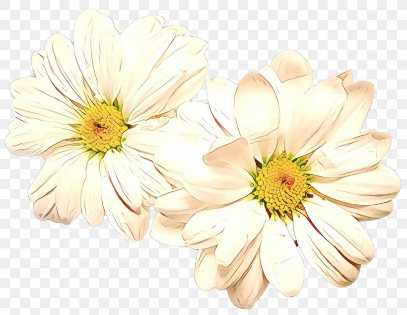 Floristry Chrysanthemum Transvaal Daisy Cut Flowers Yellow, PNG, 930x720px, Floristry, Aster, Asterales, Chamomile, Chrysanthemum Download Free