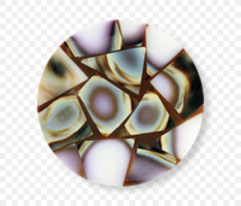 Praline Coin, PNG, 700x700px, Praline, Coin, Food Download Free