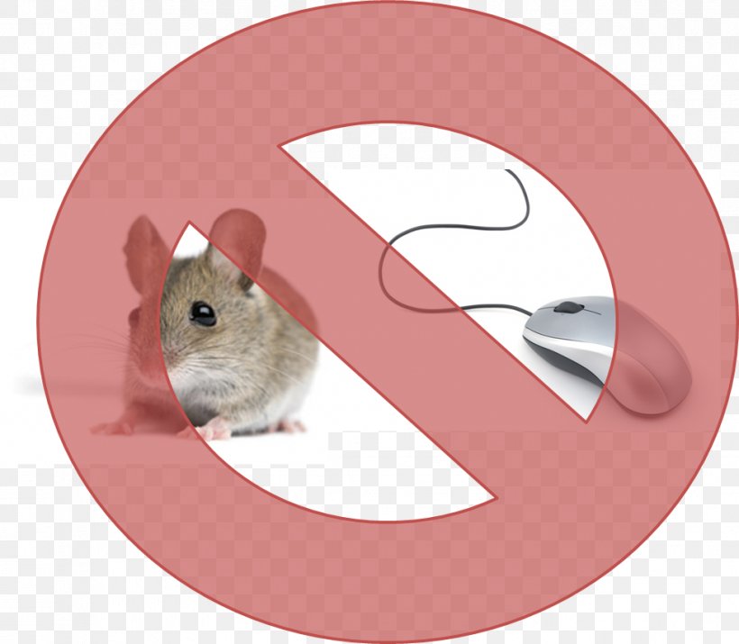 Rodent Rat Fancy Mouse Dormouse Gerbil, PNG, 977x852px, Rodent, Animal, Dormouse, Exterminator, Fancy Mouse Download Free