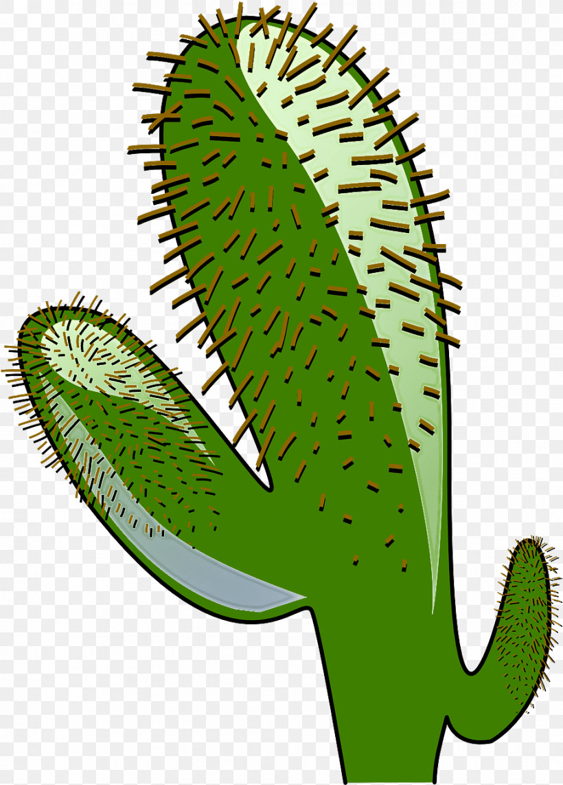 Cactus, PNG, 919x1280px, Green, Cactus, Carnivorous Plant, Flower, Leaf Download Free