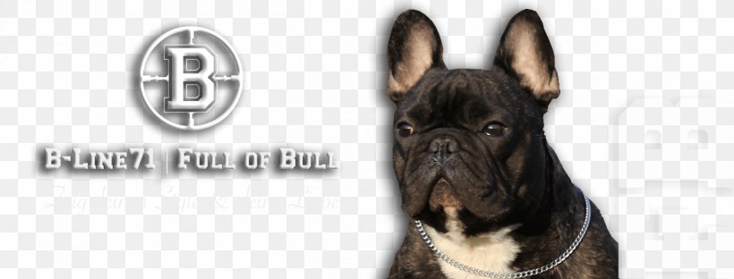 Dog Breed French Bulldog Old English Bulldog Olde English Bulldogge, PNG, 1310x500px, Dog Breed, Brand, Bull Terrier, Bulldog, Carnivoran Download Free