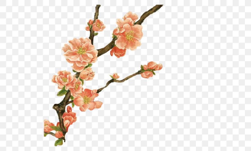Flower Clip Art, PNG, 600x494px, Flower, Blossom, Branch, Cherry Blossom, Cut Flowers Download Free