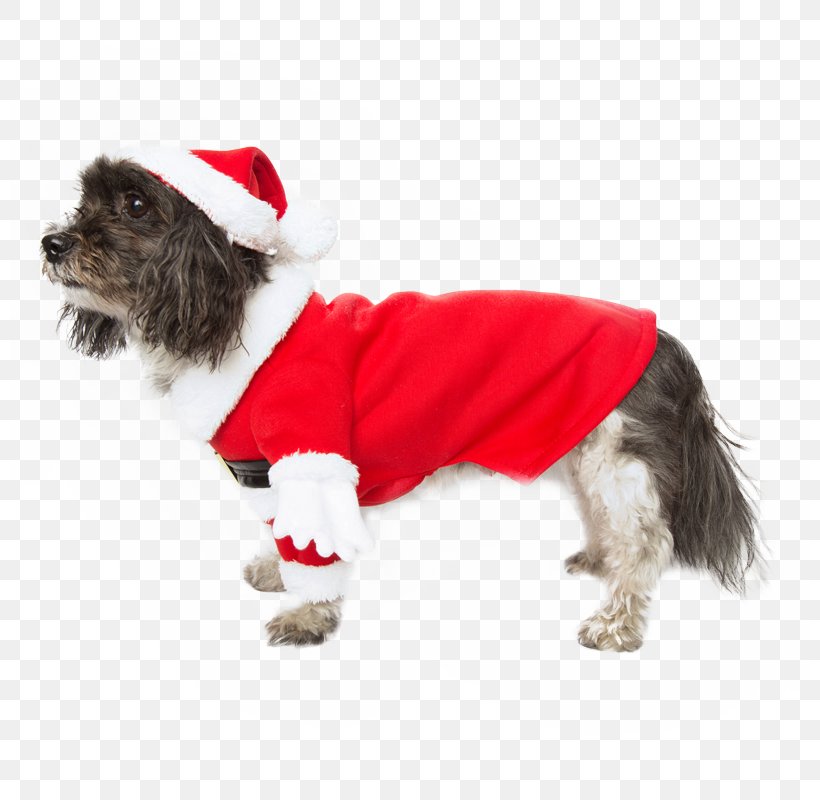 Dog Breed Puppy Companion Dog Dog Clothes, PNG, 800x800px, Dog Breed, Breed, Christmas, Christmas Ornament, Clothing Download Free